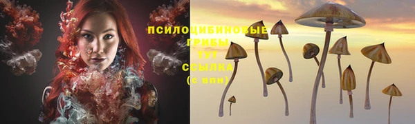 СК Ростов