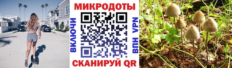 Галлюциногенные грибы Magic Shrooms  Осинники 